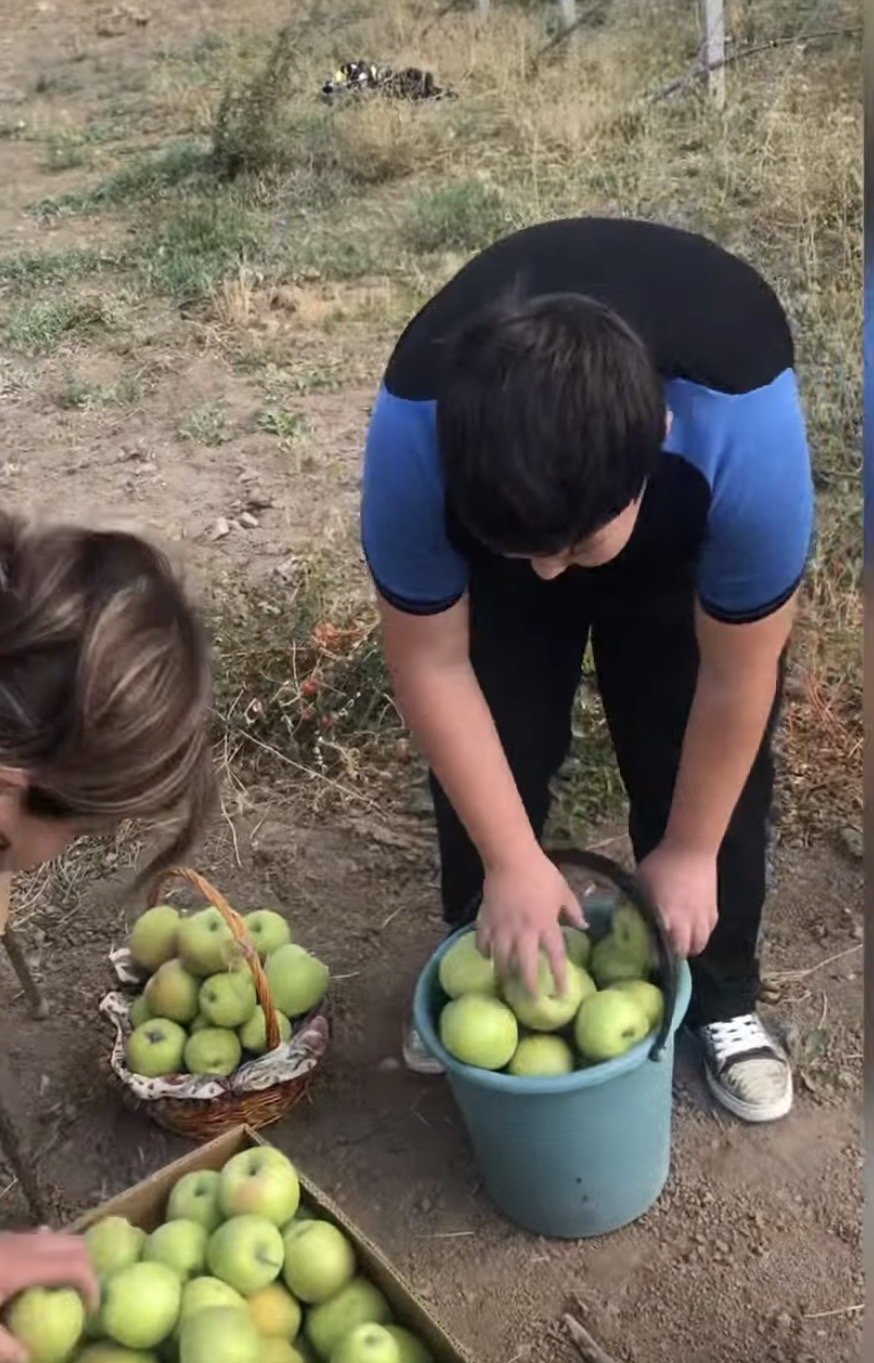 Խնձորի այգի