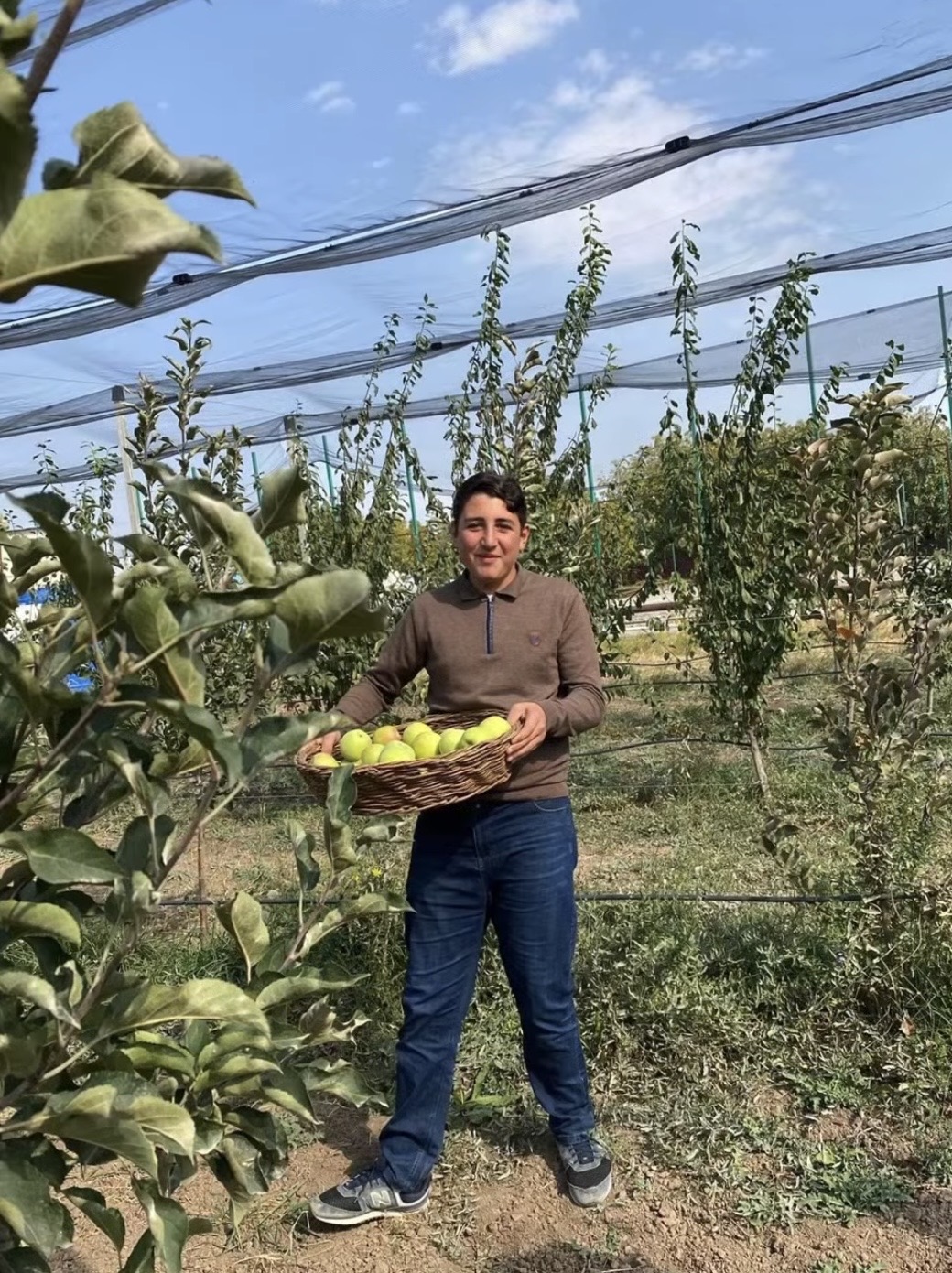 Խնձորի այգի