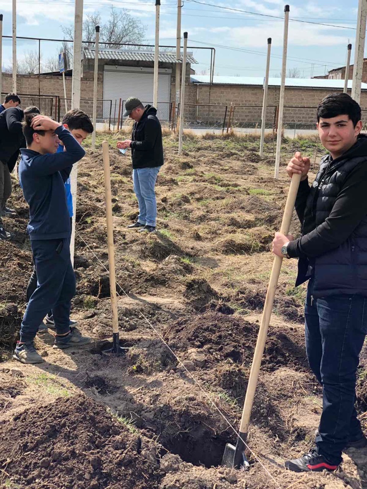 Խնձորի այգի