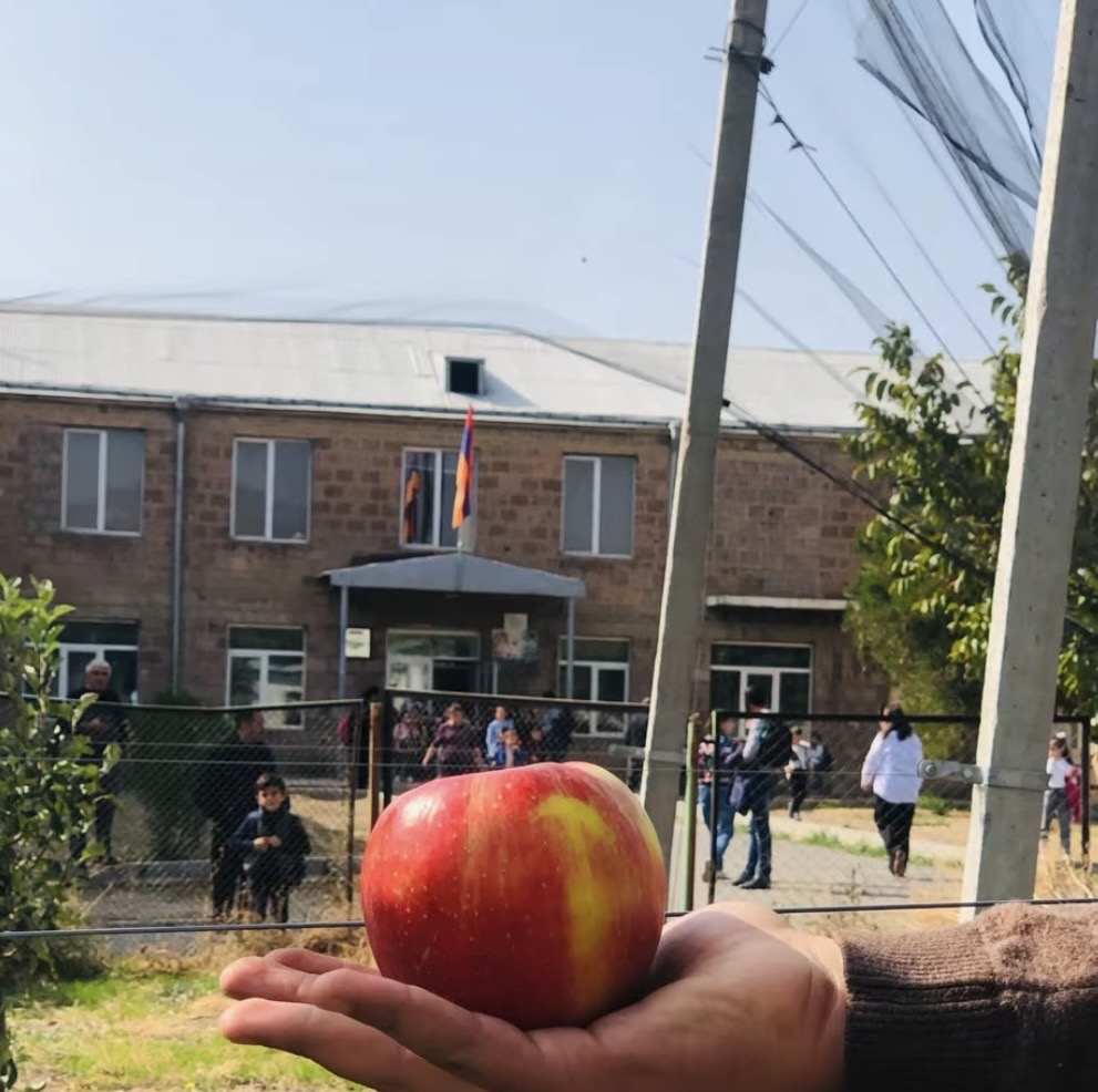 Խնձորի այգի