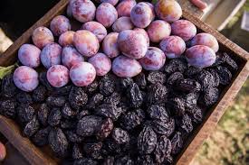 Սալորի չիր